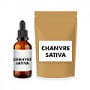 Chanvre Sativa